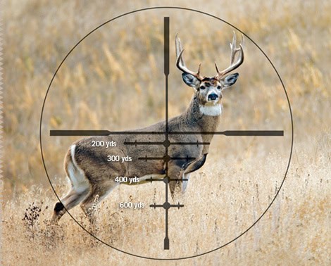 Top Tips to Choose the Perfect Hunting Scope