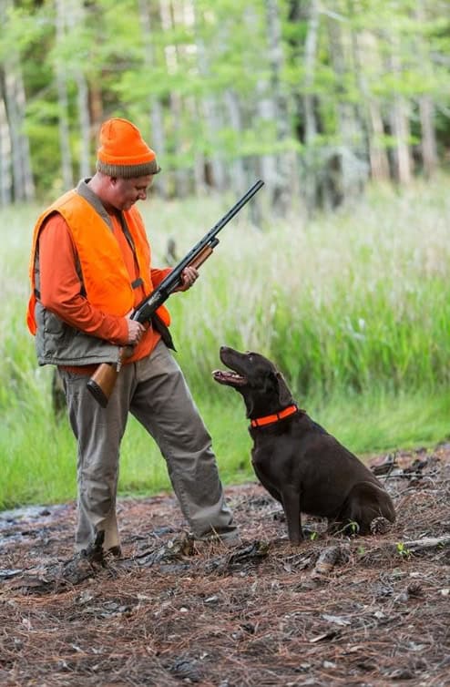 Buy A Shotgun Get 10% Off Hunting Accessories! Guns.com