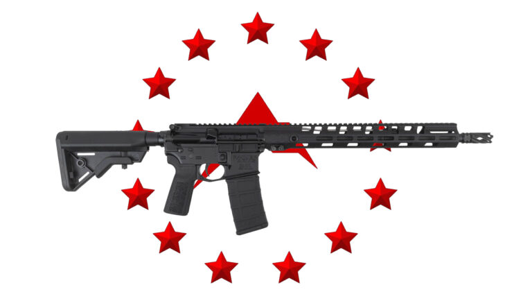 The Rainer Arms RUC Rifle DI – Urban Combat Optimized