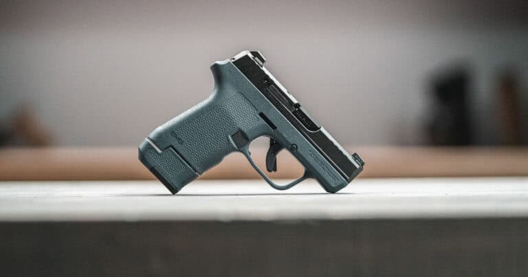 Ruger Launches LCP Max .380 Auto with Magpul EHG
