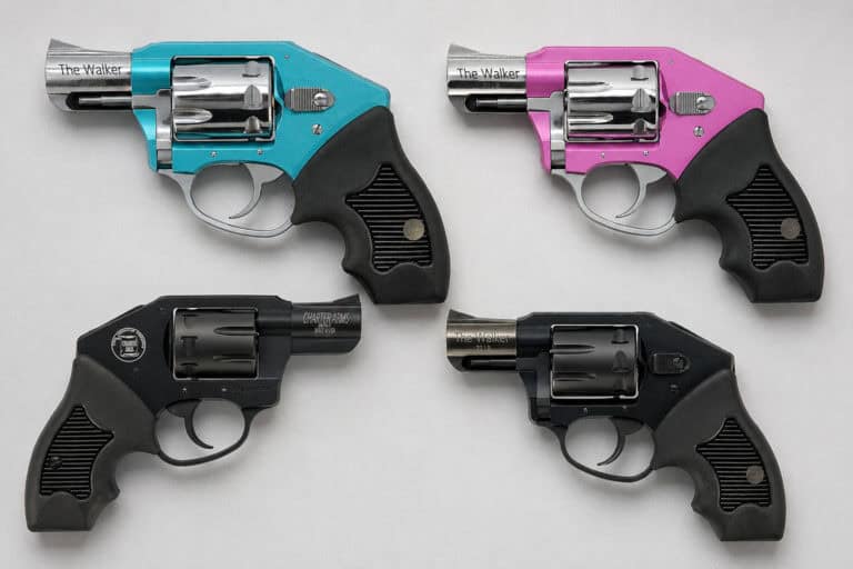 Charter Arms Walker Series—An Ultra-Compact Rimfire Revolver