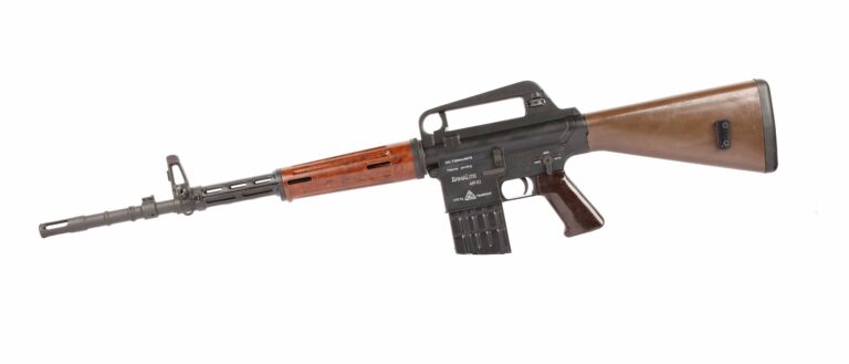 Clone Life: Portuguese AR-10